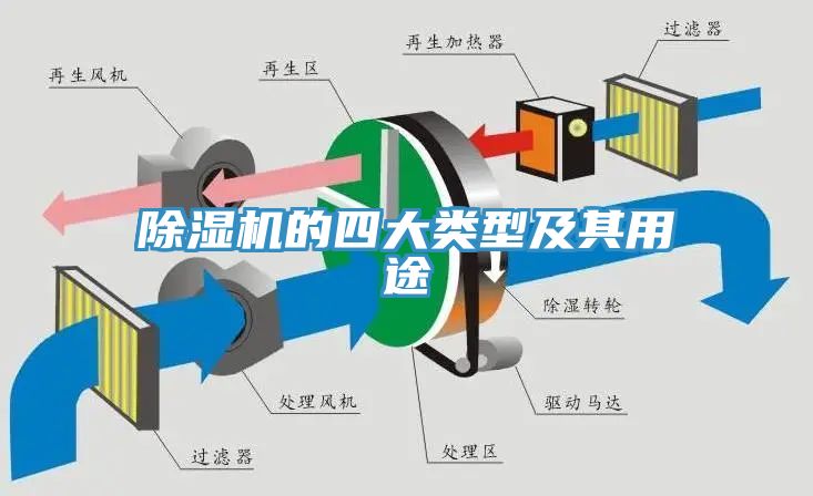 蕾丝视频污污污的四大类型及其用途
