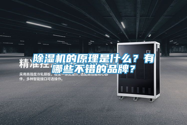蕾丝视频污污污的原理是什么？有哪些不错的品牌？