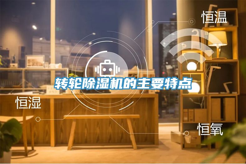 转轮蕾丝视频污污污的主要特点