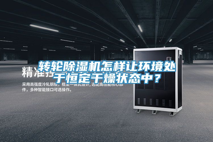 转轮蕾丝视频污污污怎样让环境处于恒定干燥状态中？