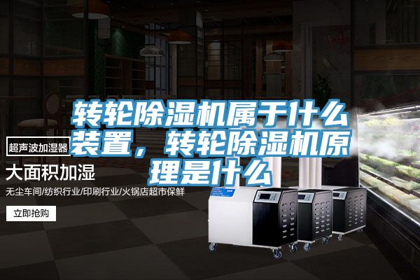 转轮蕾丝视频污污污属于什么装置，转轮蕾丝视频污污污原理是什么