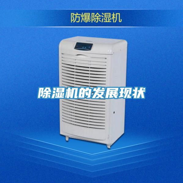 蕾丝视频污污污的发展现状