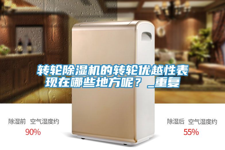转轮蕾丝视频污污污的转轮优越性表现在哪些地方呢？_重复