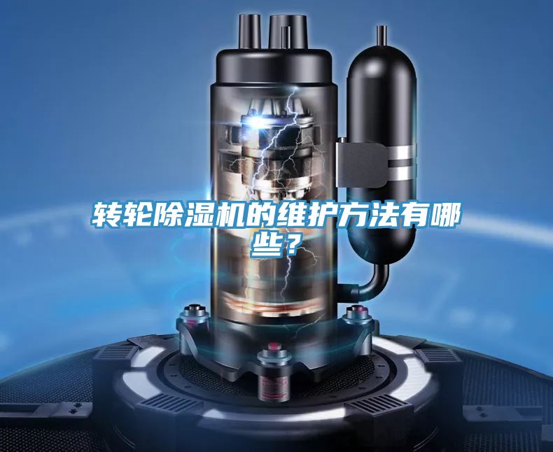 转轮蕾丝视频污污污的维护方法有哪些？