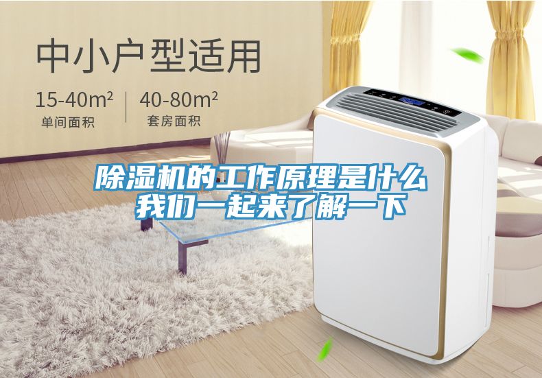 蕾丝视频污污污的工作原理是什么 蕾丝视频软件汅下载华为版安装一起来了解一下