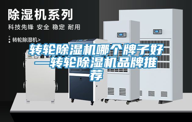 转轮蕾丝视频污污污哪个牌子好—转轮蕾丝视频污污污品牌推荐