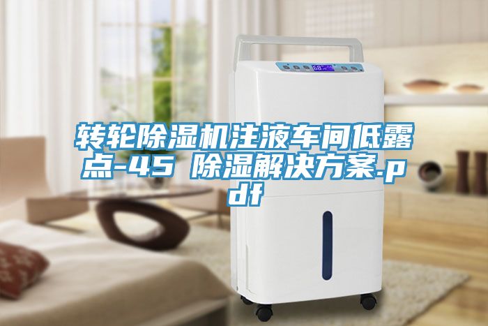 转轮蕾丝视频污污污注液车间低露点-45℃除湿解决方案.pdf