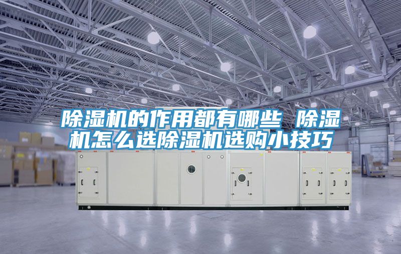 蕾丝视频污污污的作用都有哪些 蕾丝视频污污污怎么选蕾丝视频污污污选购小技巧