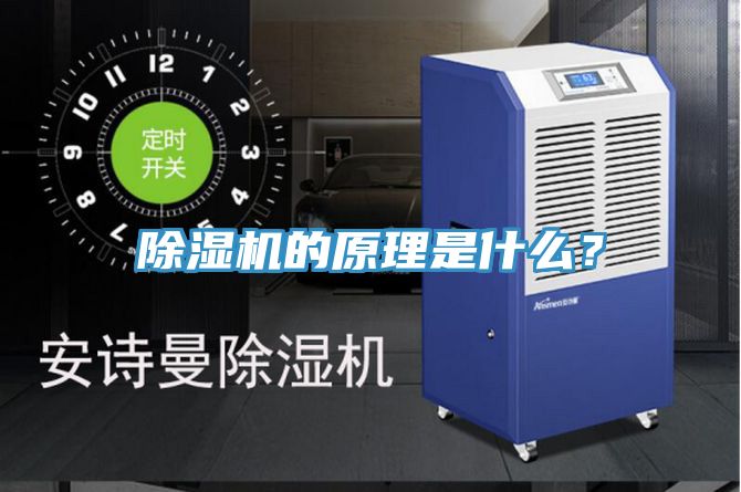 蕾丝视频污污污的原理是什么？