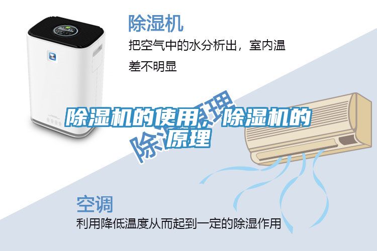 蕾丝视频污污污的使用，蕾丝视频污污污的原理