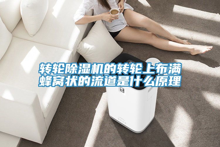转轮蕾丝视频污污污的转轮上布满蜂窝状的流道是什么原理