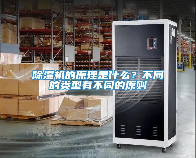 蕾丝视频污污污的原理是什么？不同的类型有不同的原则