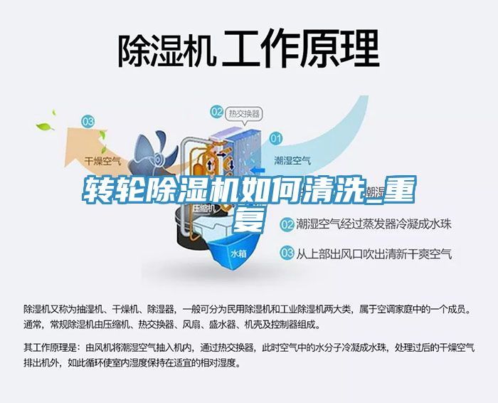 转轮蕾丝视频污污污如何清洗_重复