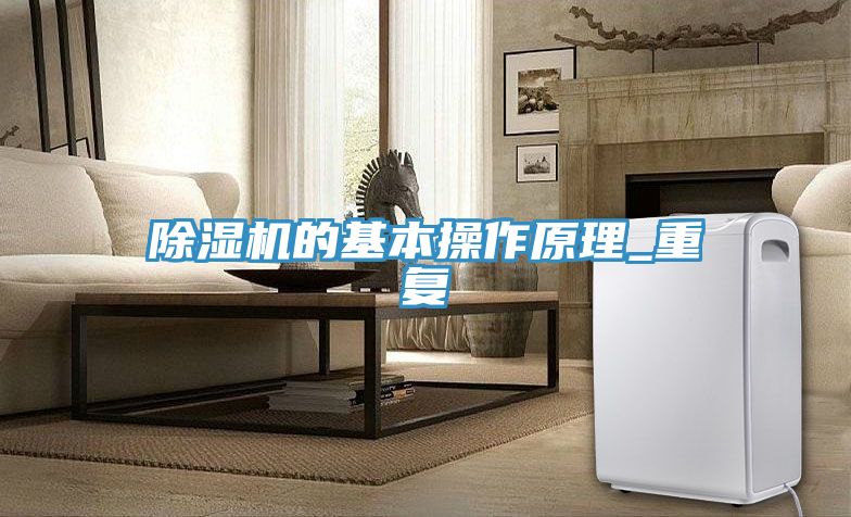 蕾丝视频污污污的基本操作原理_重复