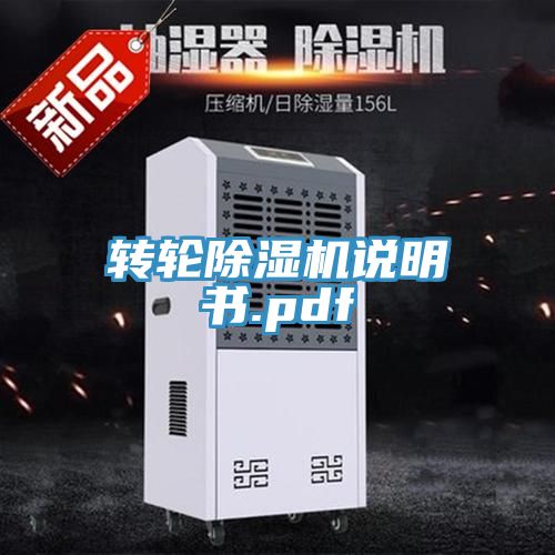 转轮蕾丝视频污污污说明书.pdf