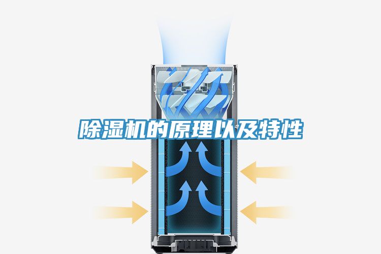 蕾丝视频污污污的原理以及特性