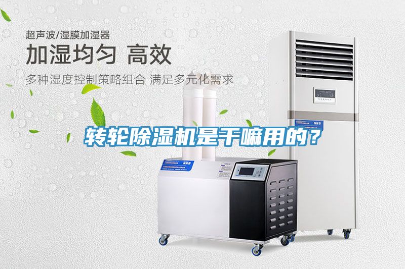 转轮蕾丝视频污污污是干嘛用的？