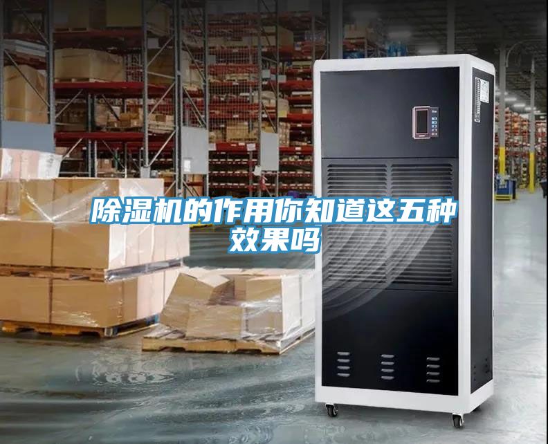 蕾丝视频污污污的作用你知道这五种效果吗