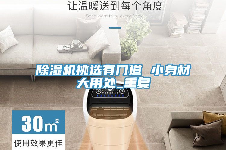 蕾丝视频污污污挑选有门道 小身材大用处_重复