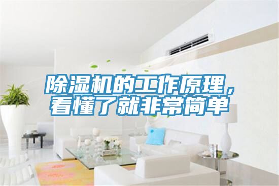 蕾丝视频污污污的工作原理，看懂了就非常简单