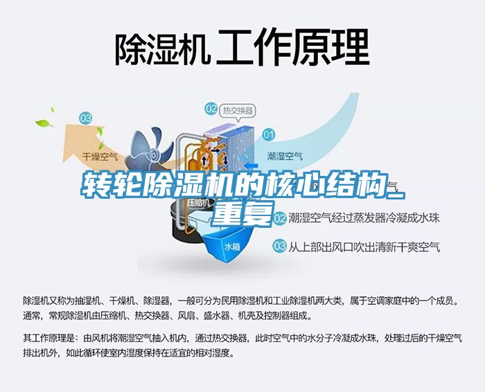 转轮蕾丝视频污污污的核心结构_重复