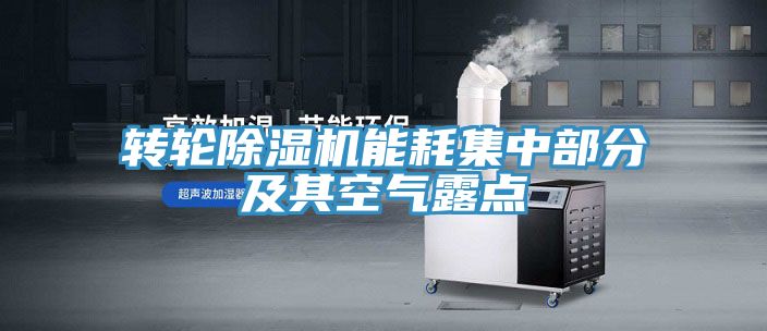 转轮蕾丝视频污污污能耗集中部分及其空气露点