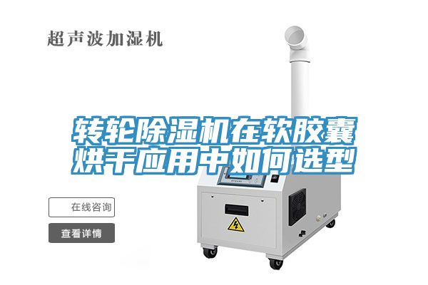 转轮蕾丝视频污污污在软胶囊烘干应用中如何选型