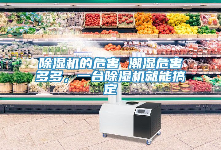 蕾丝视频污污污的危害 潮湿危害多多，一台蕾丝视频污污污就能搞定