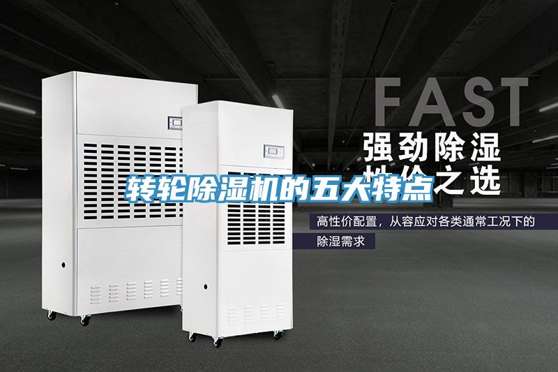 转轮蕾丝视频污污污的五大特点