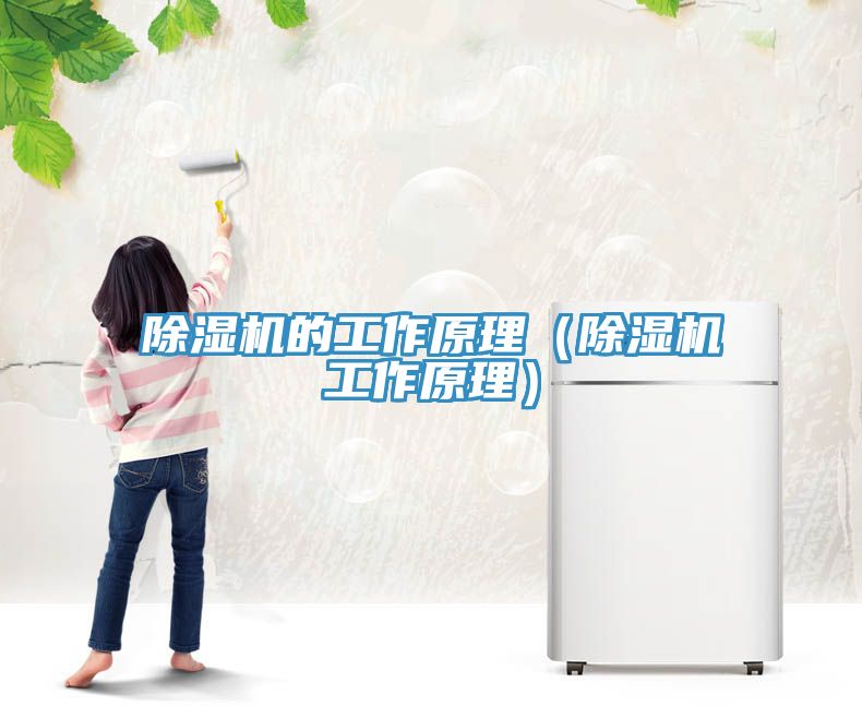 蕾丝视频污污污的工作原理（蕾丝视频污污污工作原理）
