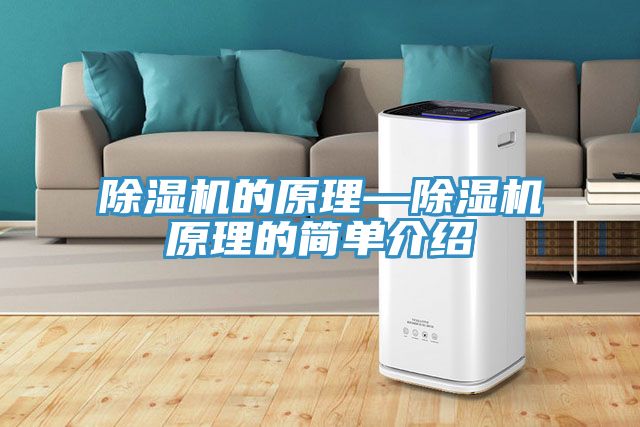 蕾丝视频污污污的原理—蕾丝视频污污污原理的简单介绍