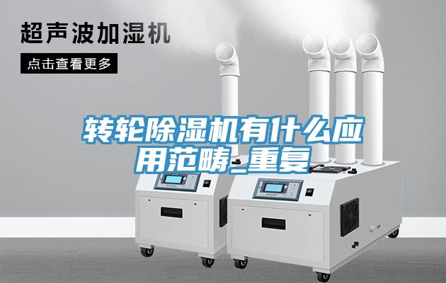 转轮蕾丝视频污污污有什么应用范畴_重复