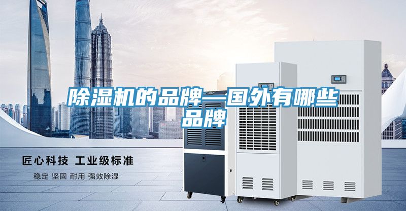 蕾丝视频污污污的品牌—国外有哪些品牌