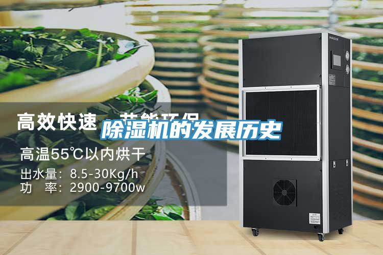 蕾丝视频污污污的发展历史