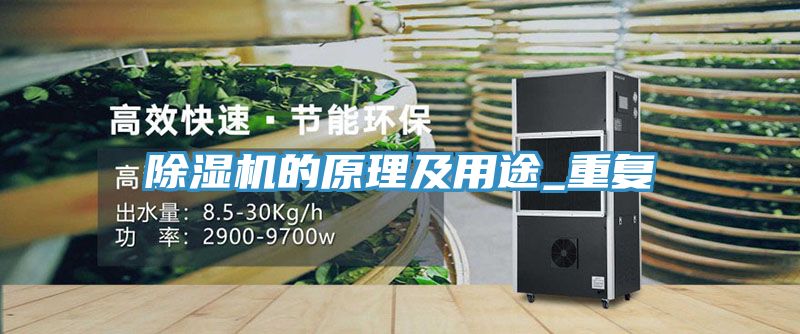 蕾丝视频污污污的原理及用途_重复