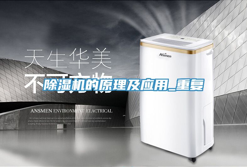 蕾丝视频污污污的原理及应用_重复