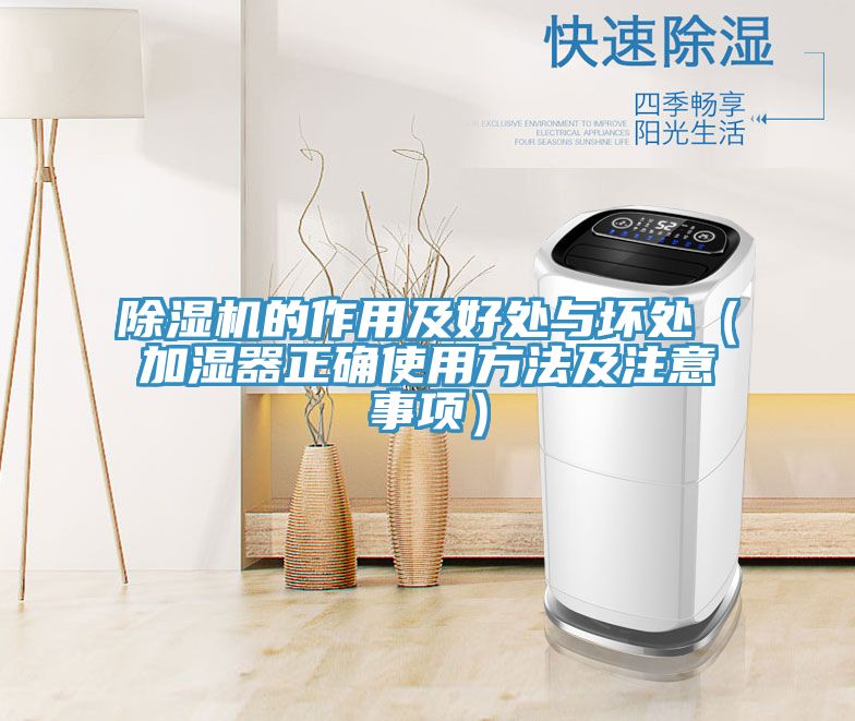 蕾丝视频污污污的作用及好处与坏处（加湿器正确使用方法及注意事项）
