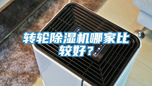 转轮蕾丝视频污污污哪家比较好？