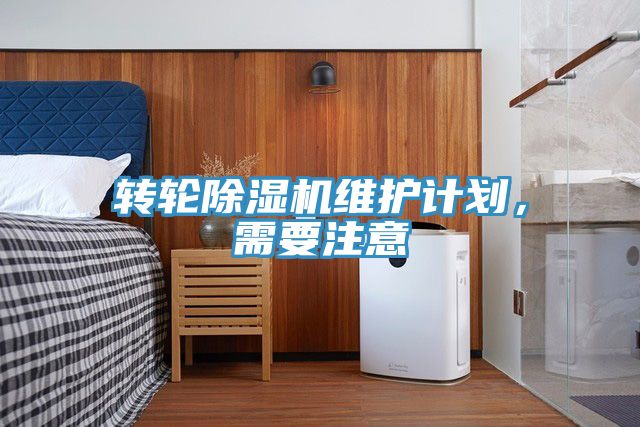 转轮蕾丝视频污污污维护计划，需要注意