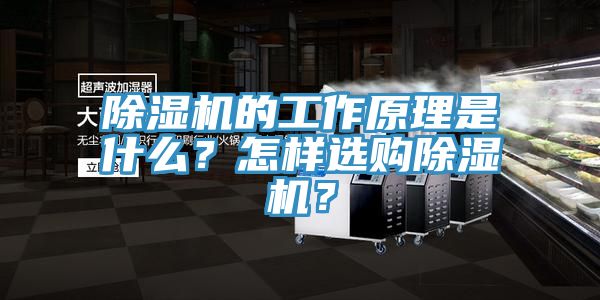 蕾丝视频污污污的工作原理是什么？怎样选购蕾丝视频污污污？