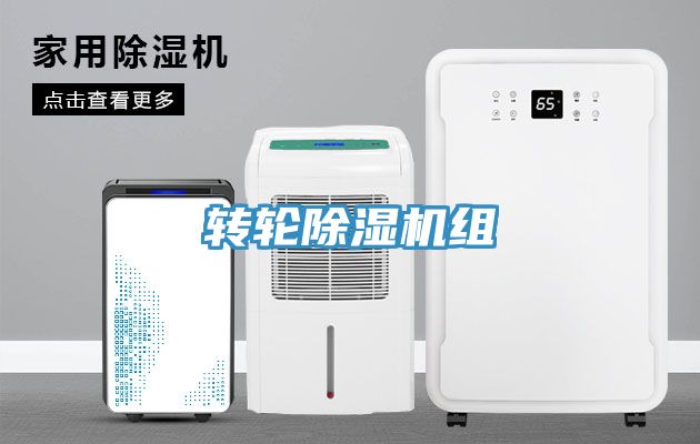 转轮蕾丝视频污污污组