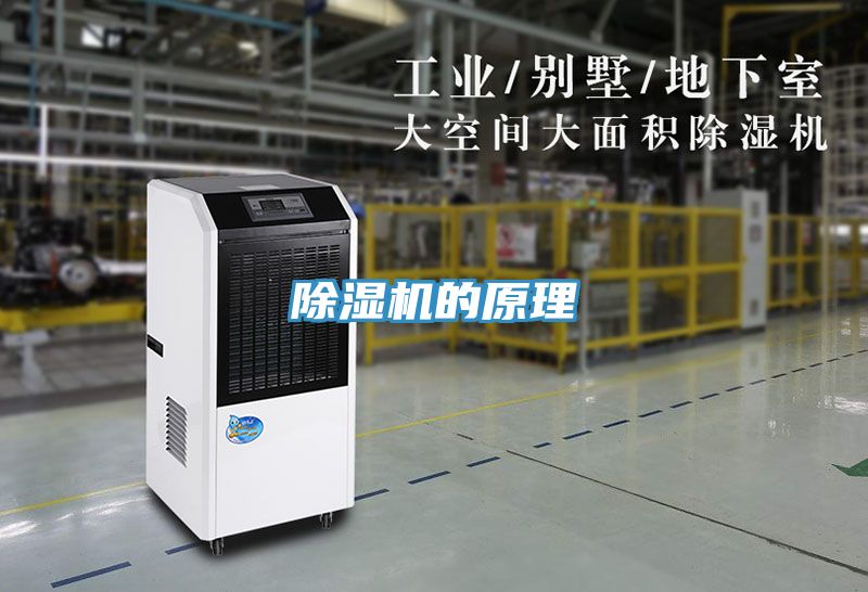 蕾丝视频污污污的原理