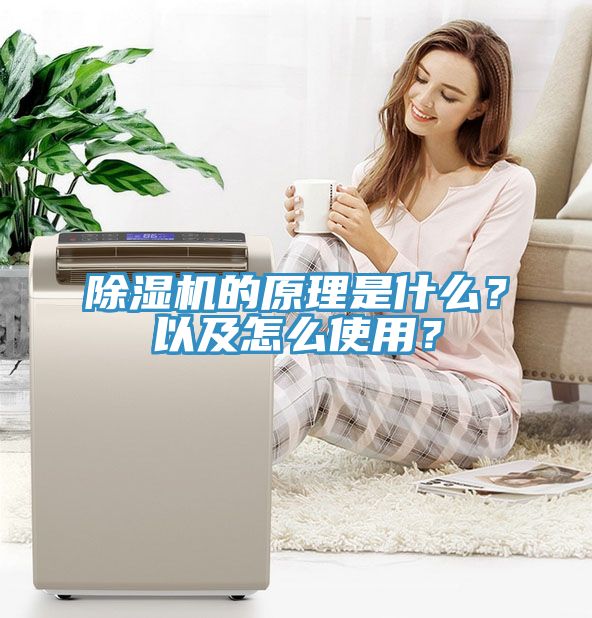 蕾丝视频污污污的原理是什么？以及怎么使用？