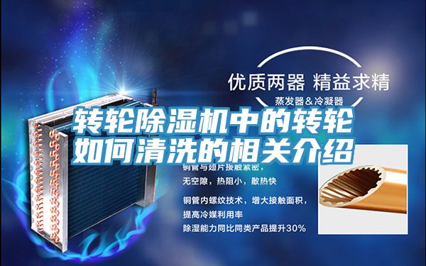 转轮蕾丝视频污污污中的转轮如何清洗的相关介绍