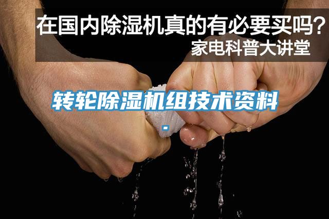 转轮蕾丝视频污污污组技术资料.