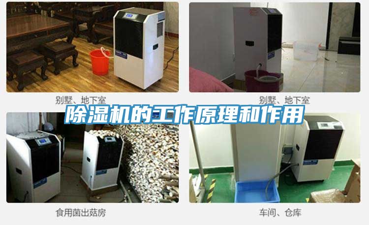 蕾丝视频污污污的工作原理和作用