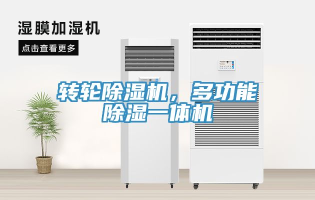 转轮蕾丝视频污污污，多功能除湿一体机