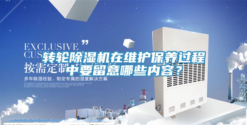 转轮蕾丝视频污污污在维护保养过程中要留意哪些内容？