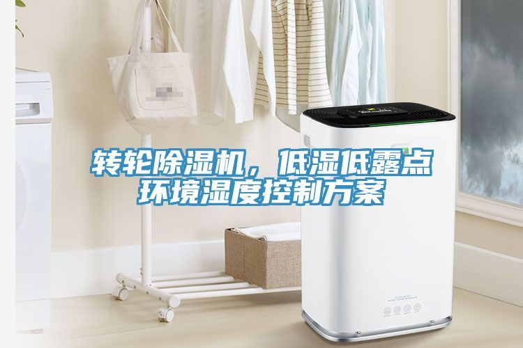 转轮蕾丝视频污污污，低湿低露点环境湿度控制方案
