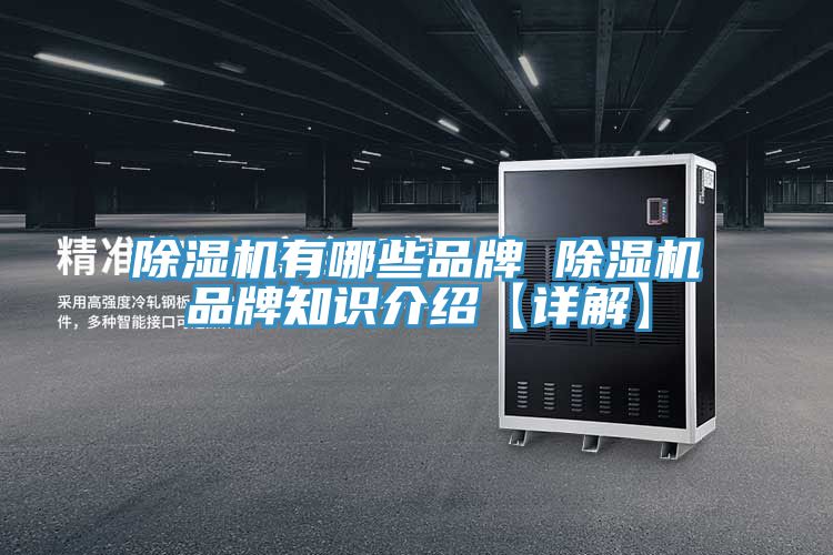蕾丝视频污污污有哪些品牌 蕾丝视频污污污品牌知识介绍【详解】